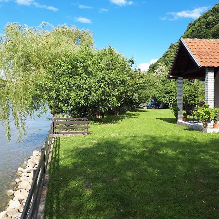 Dedin Raj Villa Golubac Exteriör bild