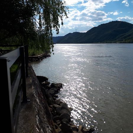 Dedin Raj Villa Golubac Exteriör bild