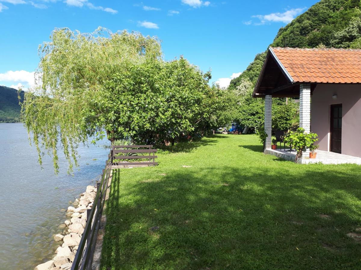 Dedin Raj Villa Golubac Exteriör bild