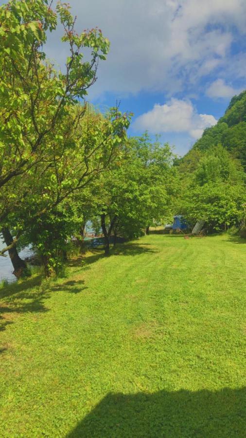Dedin Raj Villa Golubac Exteriör bild