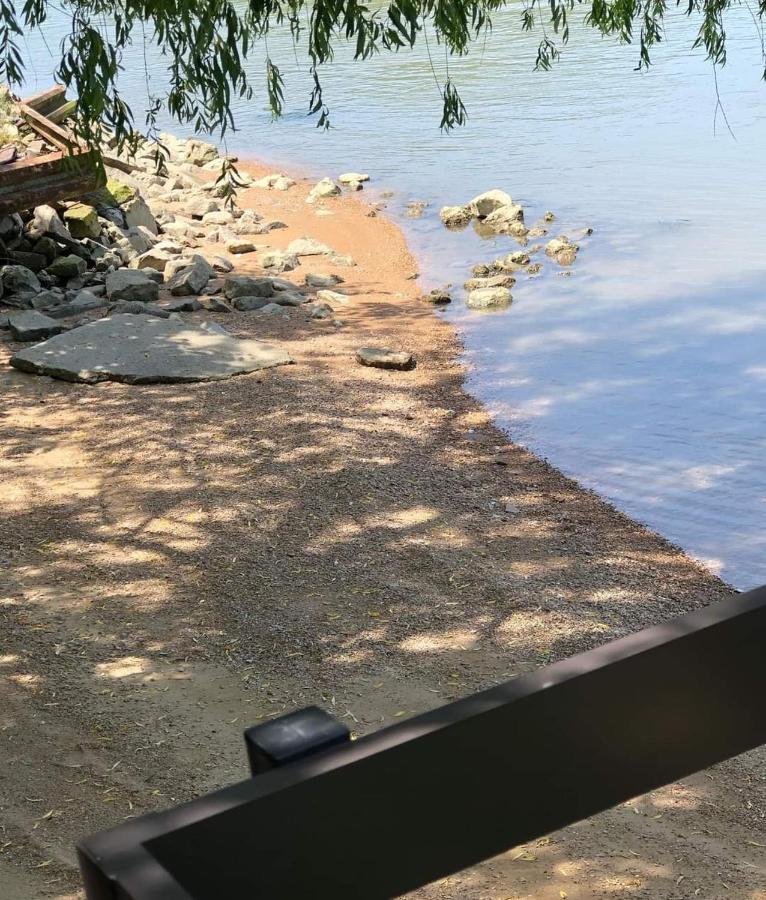 Dedin Raj Villa Golubac Exteriör bild