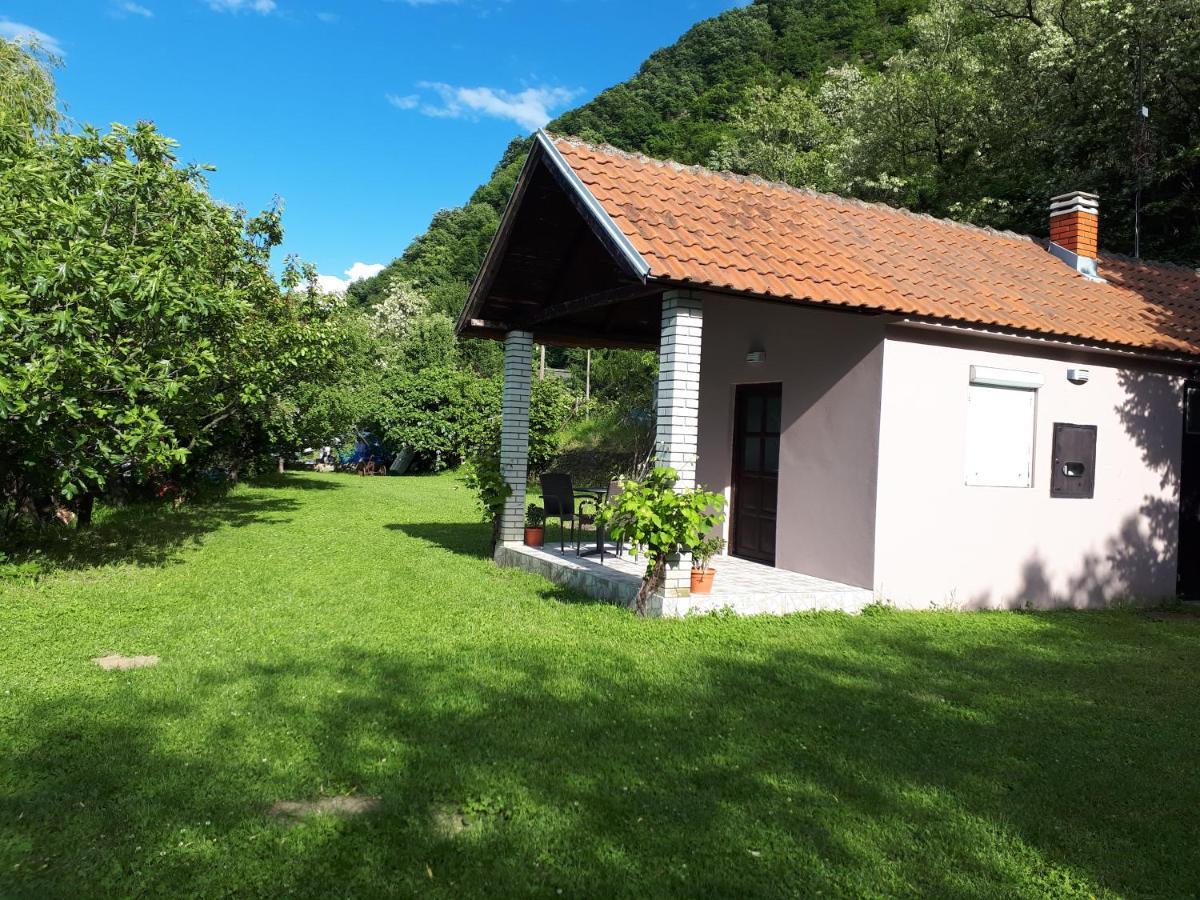 Dedin Raj Villa Golubac Exteriör bild